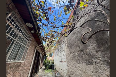 Casa para alugar com 350m², 5 quartos e sem vagaQuintal