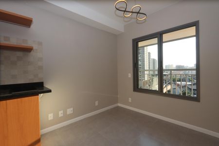 Sala e Cozinha de casa para alugar com 1 quarto, 29m² em Vila Graciosa, São Paulo