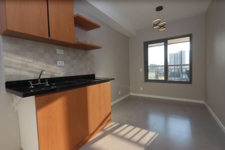 Sala e Cozinha de casa para alugar com 1 quarto, 29m² em Vila Graciosa, São Paulo
