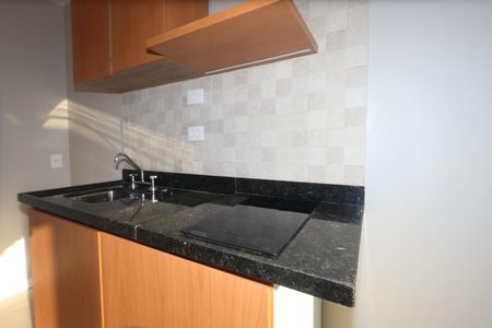 Detalhe Cozinha de casa para alugar com 1 quarto, 29m² em Vila Graciosa, São Paulo