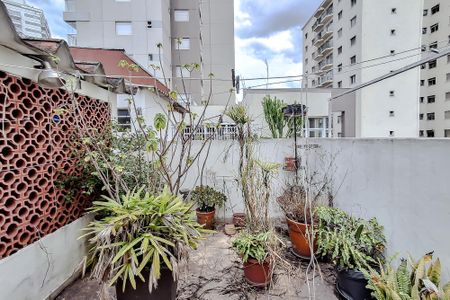 Casa para alugar com 250m², 4 quartos e 2 vagas Casa para alugar com 250m², 4 quartos e 2 vagasÁrea externa
