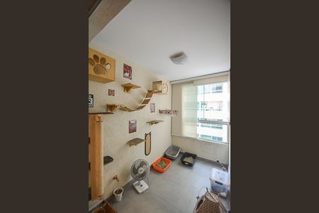 Apartamento para alugar com 68m², 3 quartos e 1 vaga Apartamento para alugar com 68m², 3 quartos e 1 vagaSacada