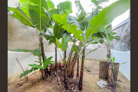 Casa à venda com 69m², 1 quarto e 2 vagasQuintal