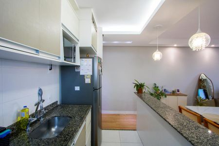 Apartamento para alugar com 60m², 2 quartos e 2 vagasCozinha