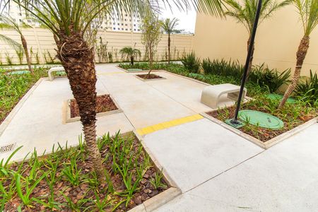 Apartamento para alugar com 35m², 2 quartos e sem vaga Apartamento para alugar com 35m², 2 quartos e sem vagaÁrea Comum