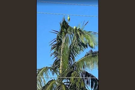 Casa à venda com 302m², 4 quartos e 5 vagas