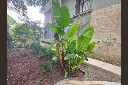 Casa para alugar com 380m², 4 quartos e 6 vagas