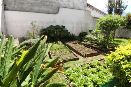 Apartamento para alugar com 310m², 6 quartos e 2 vagasÁrea comum - Horta