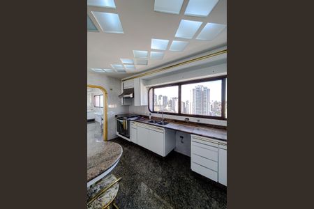 Apartamento à venda com 315m², 4 quartos e 4 vagasCozinha