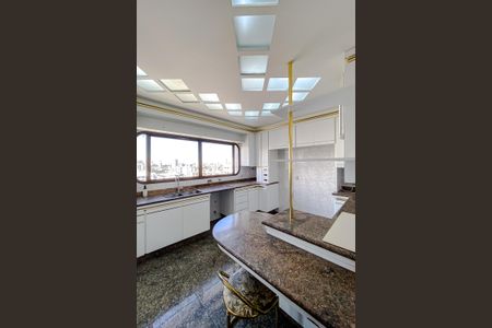 Apartamento à venda com 315m², 4 quartos e 4 vagasCozinha