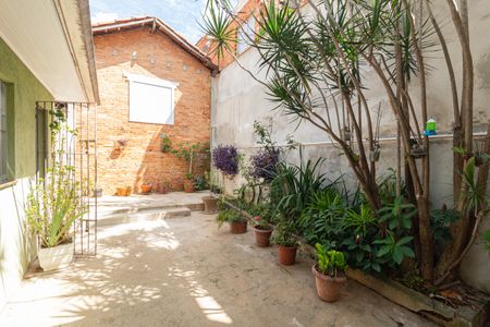 Casa para alugar com 300m², 3 quartos e 3 vagas Casa para alugar com 300m², 3 quartos e 3 vagasQuintal