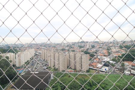 Vista janela da sala de apartamento para alugar com 2 quartos, 48m² em Usina Piratininga, São Paulo