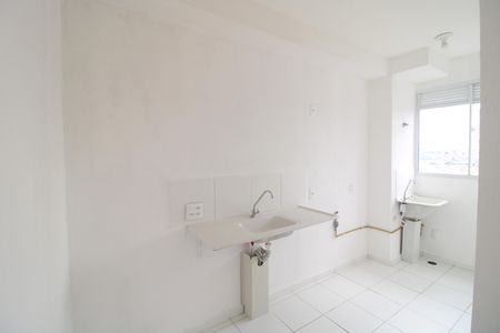Cozinha de apartamento para alugar com 2 quartos, 48m² em Usina Piratininga, São Paulo