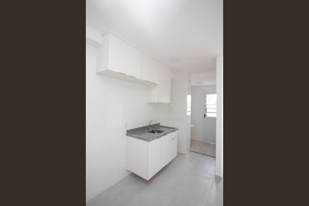 Apartamento para alugar com 50m², 2 quartos e 1 vagaCozinha - Armários