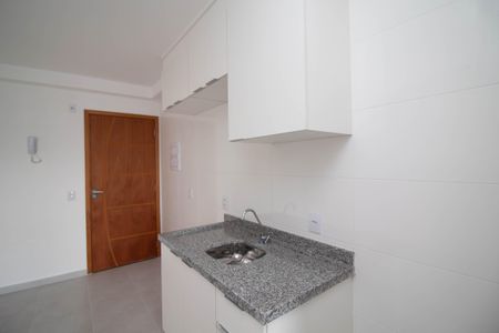 Apartamento para alugar com 50m², 2 quartos e 1 vagaCozinha - Armários