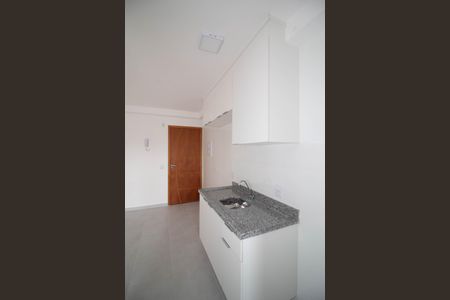 Apartamento para alugar com 50m², 2 quartos e 1 vagaCozinha - Armários