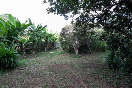 Casa para alugar com 7700m², 2 quartos e 8 vagas Casa para alugar com 7700m², 2 quartos e 8 vagasQuintal