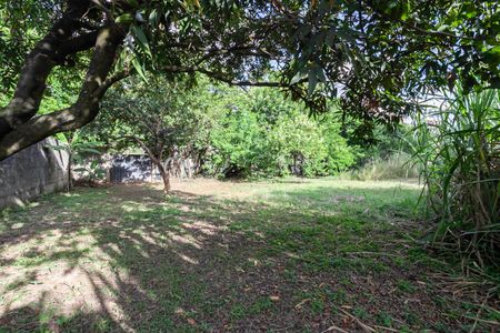 Casa para alugar com 7700m², 2 quartos e 8 vagas Casa para alugar com 7700m², 2 quartos e 8 vagasQuintal