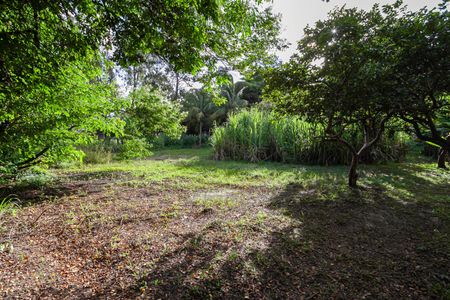 Casa para alugar com 7700m², 2 quartos e 8 vagas Casa para alugar com 7700m², 2 quartos e 8 vagasQuintal