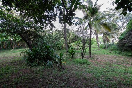 Casa para alugar com 7700m², 2 quartos e 8 vagas Casa para alugar com 7700m², 2 quartos e 8 vagasQuintal