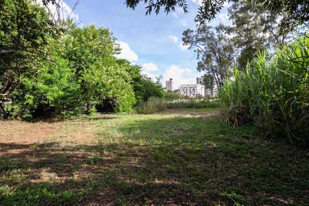 Casa para alugar com 7700m², 2 quartos e 8 vagas Casa para alugar com 7700m², 2 quartos e 8 vagasQuintal