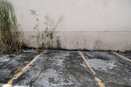 Casa para alugar com 53m², 3 quartos e 1 vaga