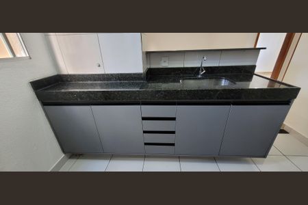 Apartamento para alugar com 55m², 2 quartos e 1 vagaCozinha - Armários