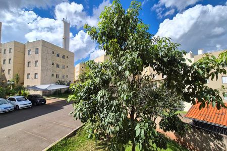 Vista do Quarto 1 de apartamento para alugar com 2 quartos, 50m² em Vila Abaeté, Campinas