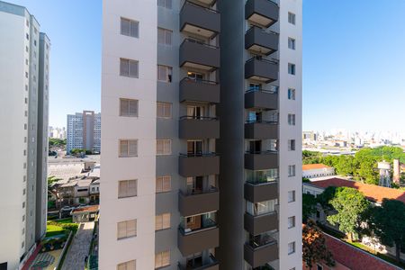 Studio para alugar com 30m², 1 quarto e sem vagaVista do Studio