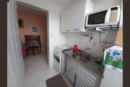 Apartamento para alugar com 35m², 1 quarto e sem vagaCozinha