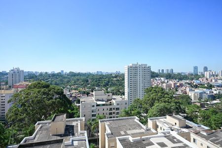 Apartamento para alugar com 27m², 1 quarto e sem vagaVista da Suíte