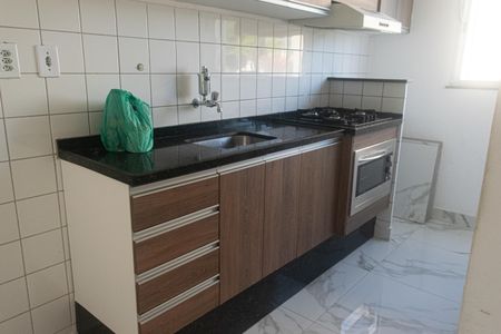 Apartamento para alugar com 45m², 2 quartos e 1 vagaCozinha - Armários