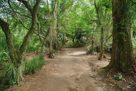 Studio para alugar com 40m², 1 quarto e sem vagaÁrea comum