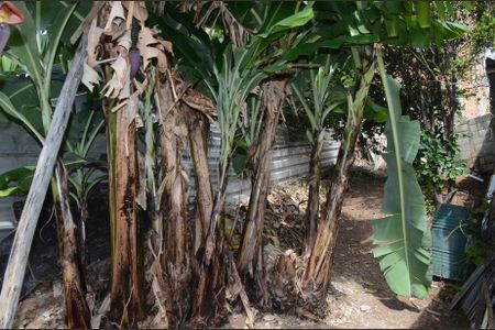 Casa à venda com 180m², 2 quartos e 2 vagasQuintal