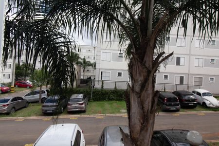 Apartamento para alugar com 40m², 2 quartos e 1 vaga Apartamento para alugar com 40m², 2 quartos e 1 vagaVista - Quarto 2
