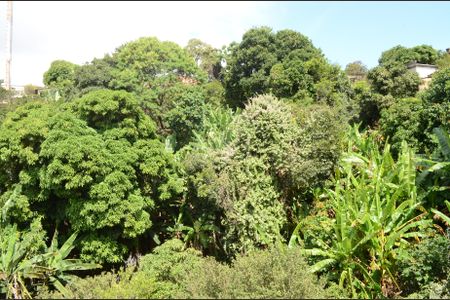 Casa à venda com 180m², 2 quartos e 1 vagaVista da Sacada