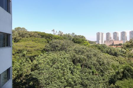 Vista da Sala de apartamento para alugar com 3 quartos, 64m² em Jardim Olympia, São Paulo