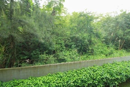 Apartamento à venda com 62m², 3 quartos e 1 vaga Apartamento à venda com 62m², 3 quartos e 1 vagaVista do Quarto 1