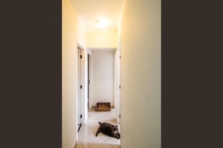 Apartamento à venda com 92m², 3 quartos e 2 vagasCorredor