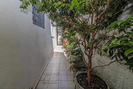 Casa à venda com 221m², 3 quartos e 2 vagascorredor de acesso com churrasqueira_5