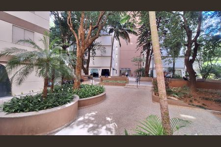 Apartamento para alugar com 55m², 2 quartos e 1 vaga Apartamento para alugar com 55m², 2 quartos e 1 vagaÁrea comum