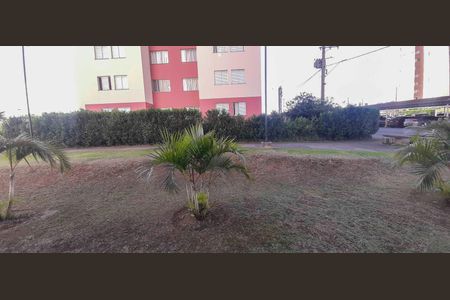 Apartamento para alugar com 55m², 2 quartos e 1 vaga Apartamento para alugar com 55m², 2 quartos e 1 vagaVista do Quarto 2