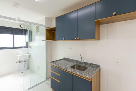 Apartamento para alugar com 50m², 2 quartos e 1 vagaCozinha
