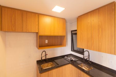 Detalhe da cozinha de apartamento para alugar com 2 quartos, 39m² em Ipiranga, São Paulo