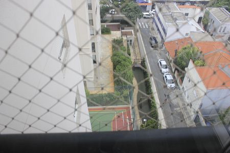 Apartamento à venda com 134m², 3 quartos e 2 vagasVista da varanda gourmet