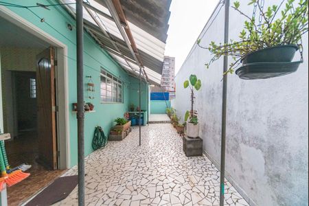 Casa para alugar com 120m², 3 quartos e 2 vagasQuintal 