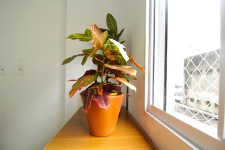 Apartamento para alugar com 28m², 1 quarto e sem vagaQuarto