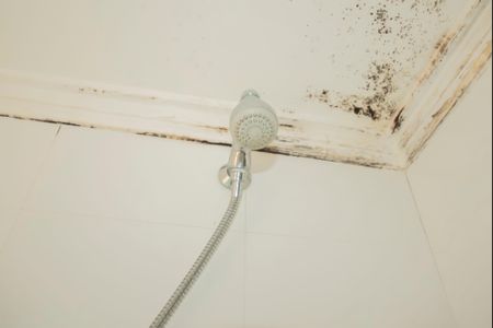 Apartamento à venda com 90m², 3 quartos e 2 vagasBanheiro da Suíte