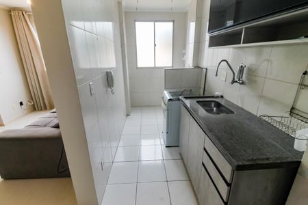 Apartamento para alugar com 45m², 2 quartos e 1 vagaCozinha - Armários