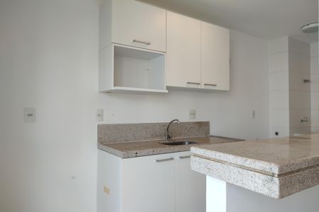 Apartamento para alugar com 81m², 2 quartos e 2 vagasCozinha - Armários